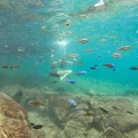 Thumbi View Lodge Cape Maclear Εξωτερικό φωτογραφία